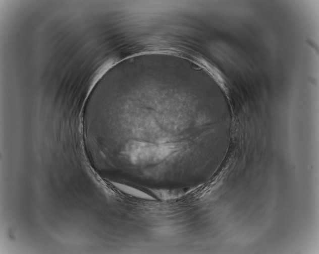 X0000096640907200802191217