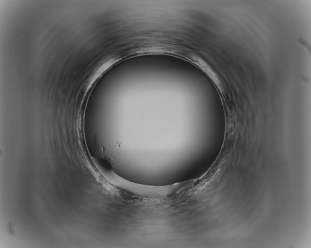 X0000096640909200802191217