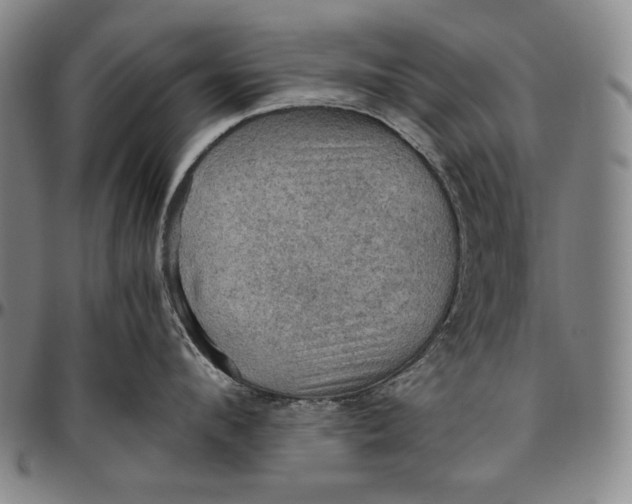 X0000096640912200802191217