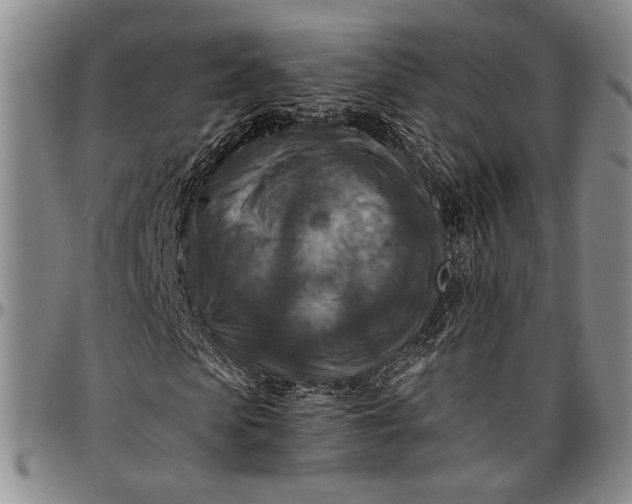 X0000096640913200802191216