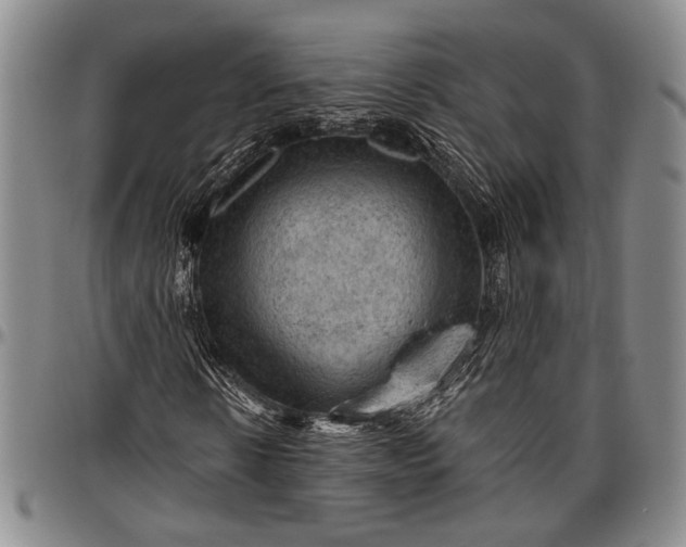 X0000096640914200802191216