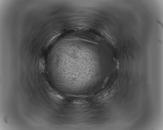 X0000096640915200802191216