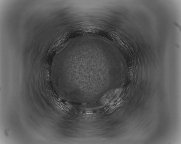 X0000096640916200802191216