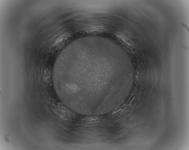 X0000096640917200802191216