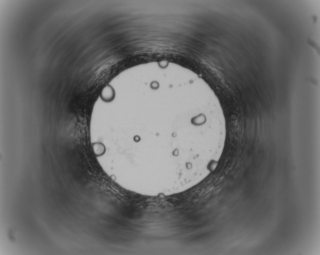 X0000096640918200802191216