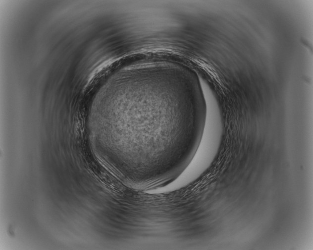 X0000096640920200802191216