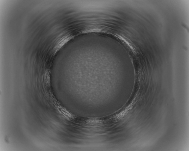 X0000096640921200802191216