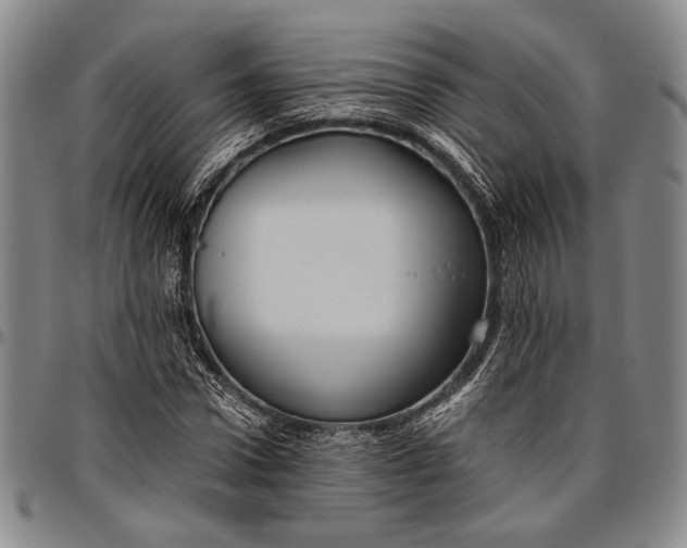 X0000096640922200802191216