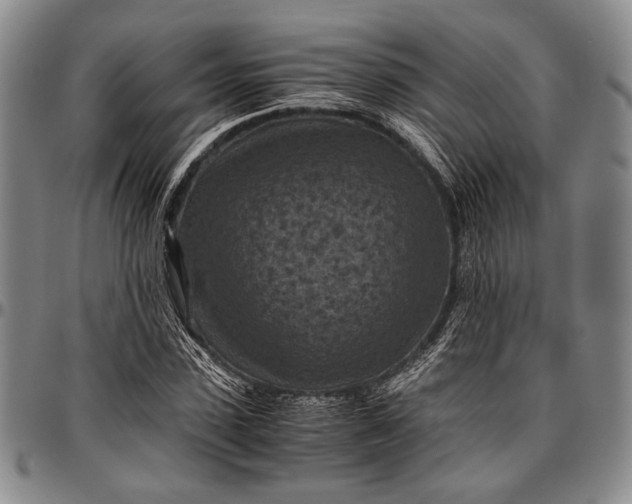 X0000096640923200802191216