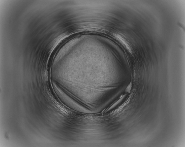 X0000096640924200802191216