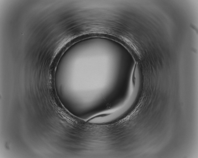 X0000096640926200802191216