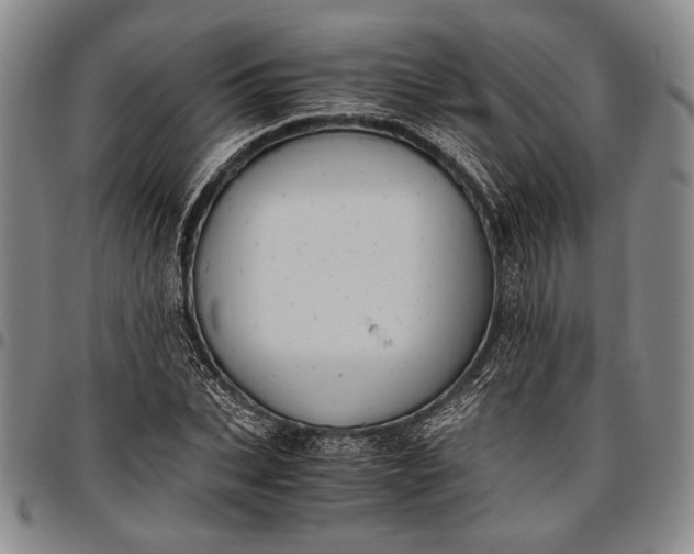 X0000096640927200802191216