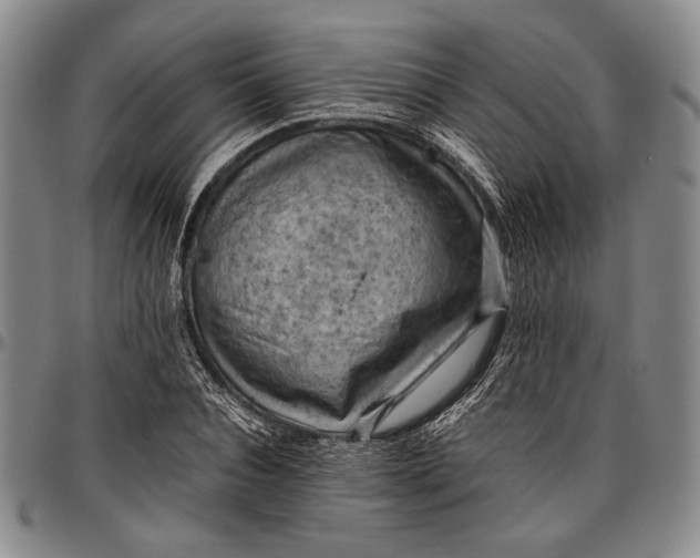 X0000096640928200802191216