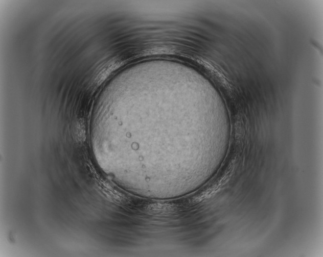 X0000096640929200802191216