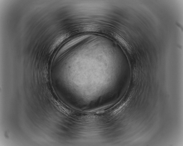 X0000096640930200802191216