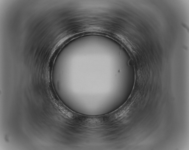 X0000096640931200802191216