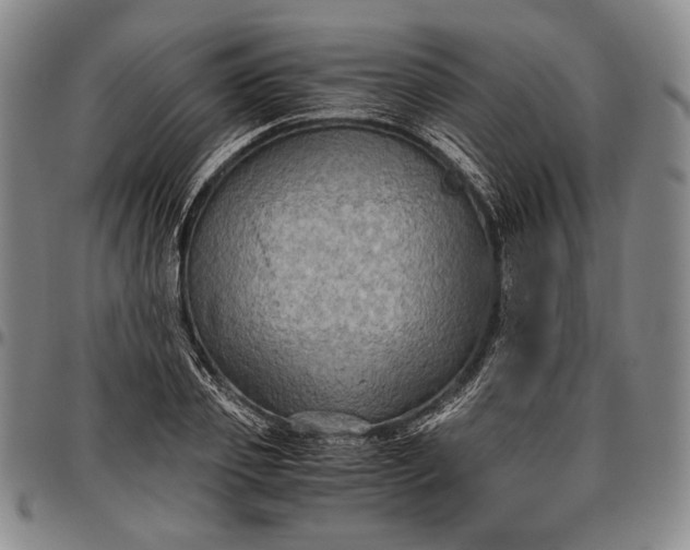 X0000096640933200802191216