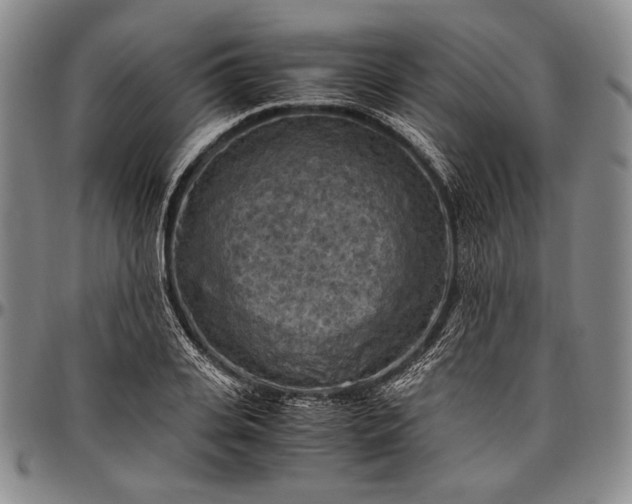 X0000096640935200802191216