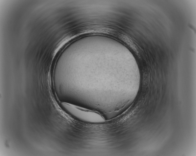 X0000096640936200802191216