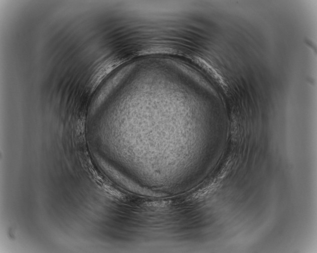 X0000096640937200802191216