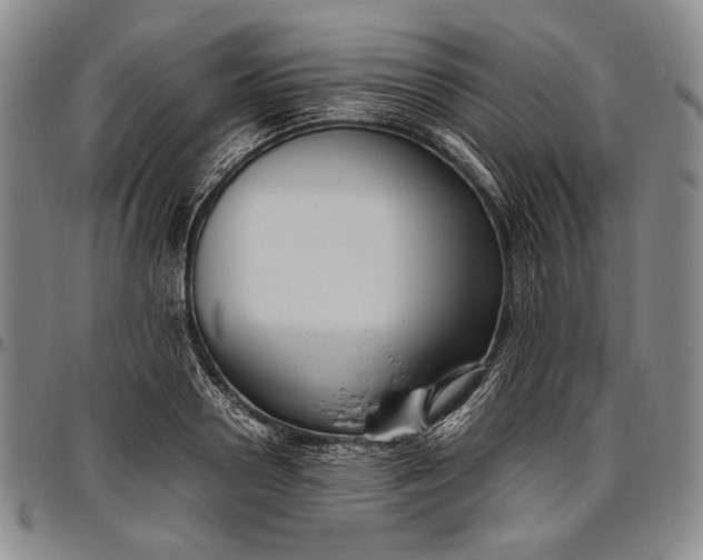 X0000096640938200802191216