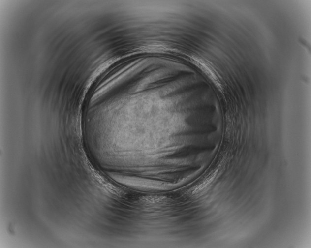 X0000096640939200802191216