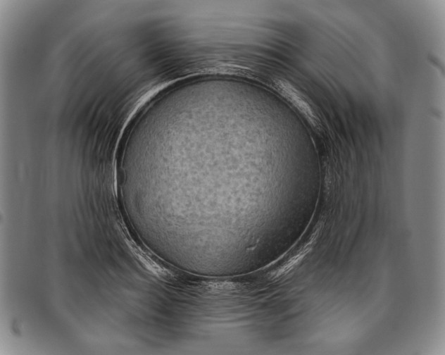 X0000096640940200802191216