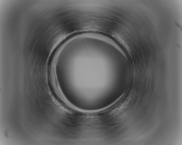 X0000096640941200802191216