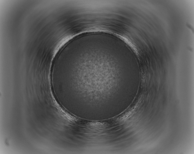 X0000096640943200802191216