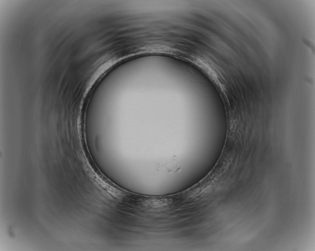 X0000096640947200802191216