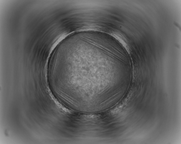 X0000096640949200802191216