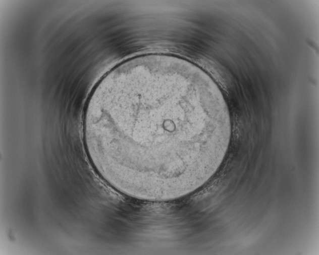 X0000096640950200802191216