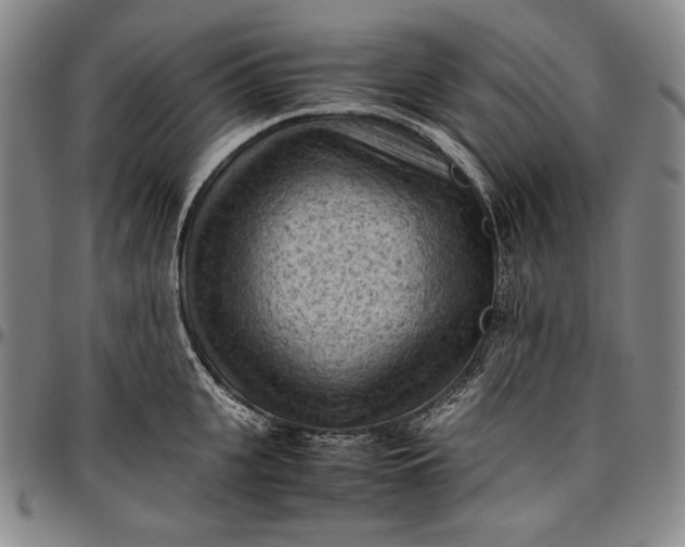 X0000096640951200802191216