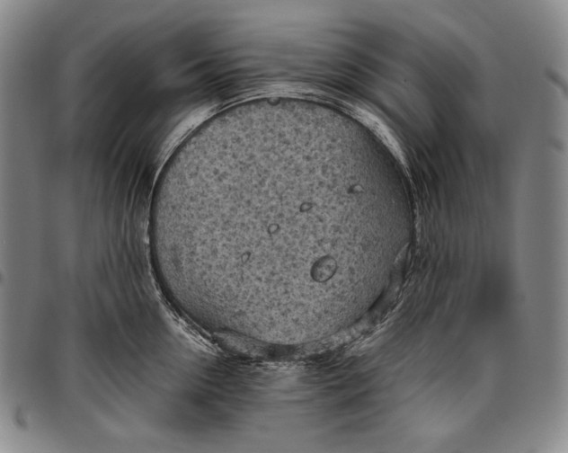 X0000096640954200802191216