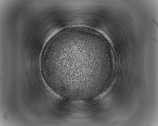 X0000096640957200802191217