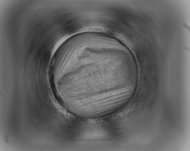 X0000096640960200802191217