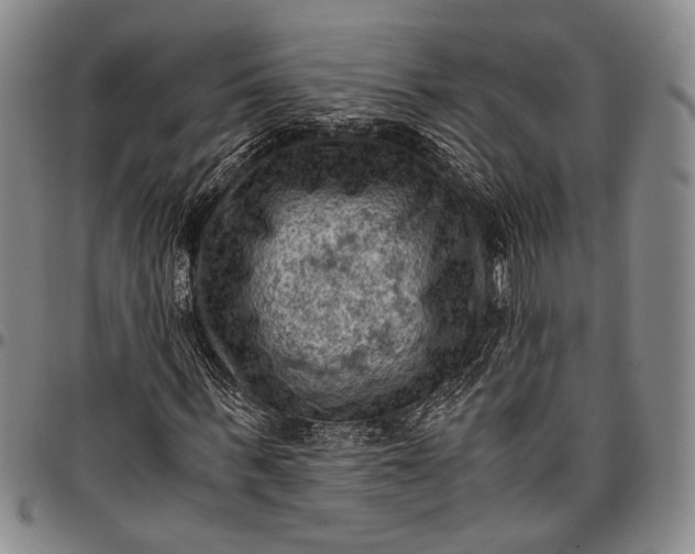 X0000096640963200802191216