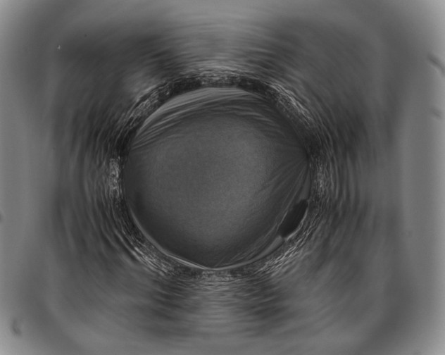 X0000096640964200802191216