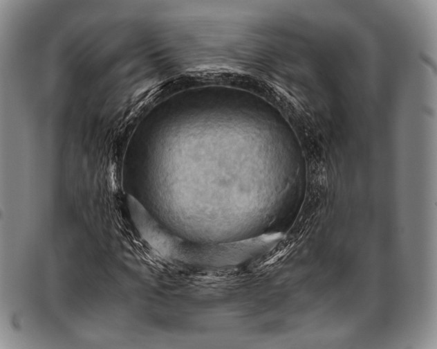 X0000096640965200802191216