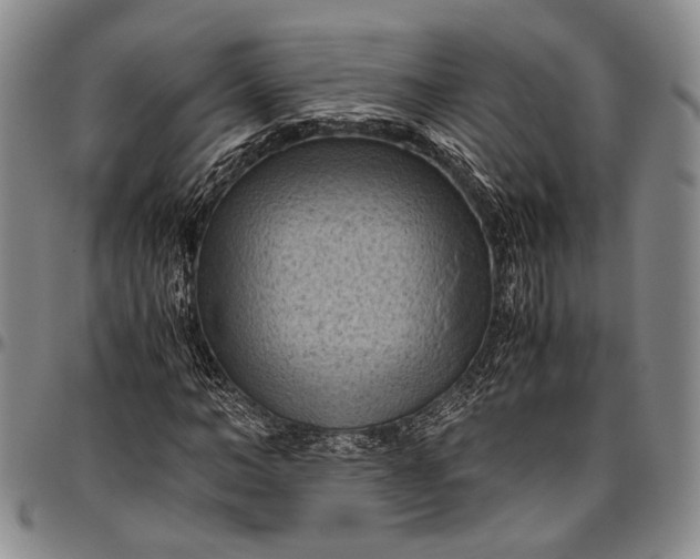 X0000096640966200802191216