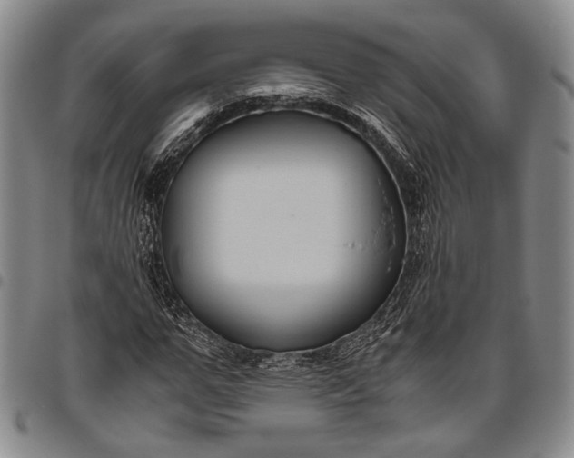 X0000096640967200802191216