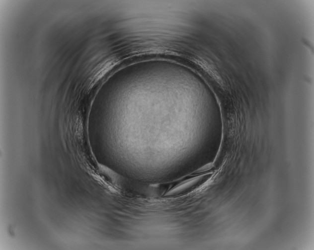 X0000096640969200802191216