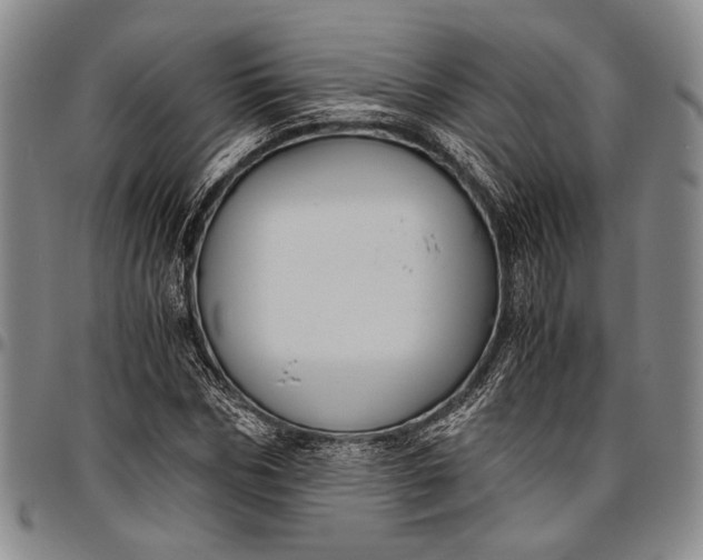 X0000096640970200802191216