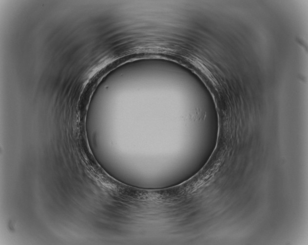 X0000096640971200802191216