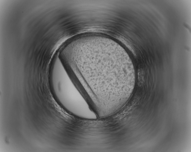 X0000096640972200802191216