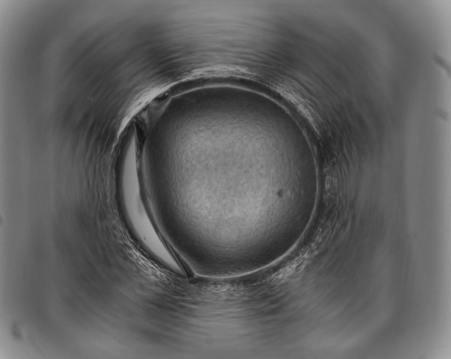 X0000096640973200802191216