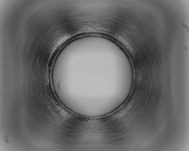 X0000096640974200802191216