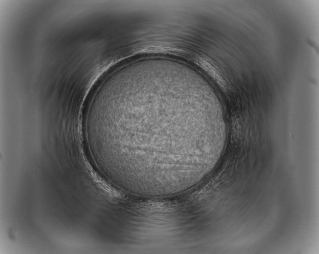 X0000096640976200802191216