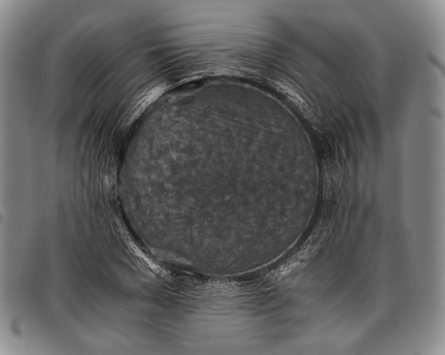 X0000096640977200802191216