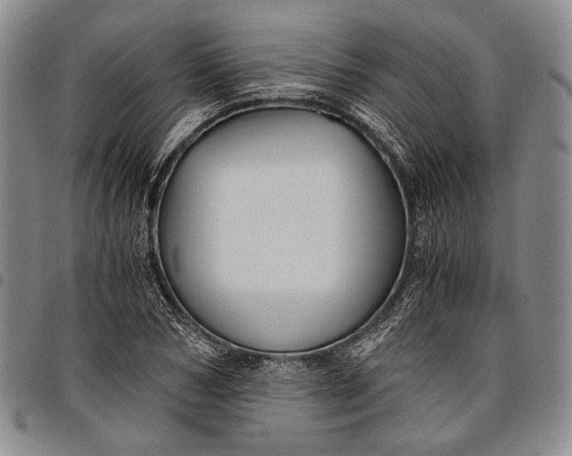 X0000096640978200802191216